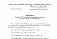 Đấu giá kho số viễn thông và tên miền Internet theo quy định mới từ 1/6