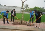 LĐLĐ TP. Hải Phòng: Trồng 135 cây phủ xanh tuyến đường J88 là nhà cái cá cược trực tuyến uy tín Châu Á kiểu mẫu