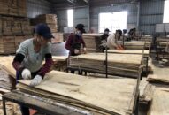 Giảm số năm đóng bảo hiểm Trang Chủ J88.com Trực Tuyến Mới Nhất 2026 rất có lợi cho người 88 com the gioi đỉnh cao