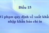 Vi phạm quy định về xuất khẩu, nhập khẩu báo chí in sẽ bị phạt đến 200.000.000 đồng
