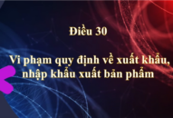 Điều 30. Vi phạm quy định về xuất khẩu, nhập khẩu xuất bản phẩm