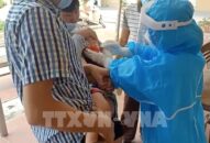 Bộ Y tế: Đã có kết quả giải trình tự gene chùm ca bệnh tại Việt Nam