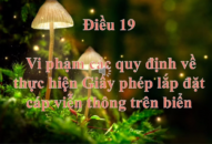 Điều 19. Vi phạm các quy định về thực hiện Giấy phép lắp đặt cáp viễn thông trên biển