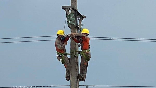 Công nhân Đội quản lý vận hành, Điện Lực Vĩnh Bảo xử lý sự cố lưới điện sau cơn bão số 2 Công nhân Đội quản lý vận hành, Điện Lực Vĩnh Bảo xử lý sự cố lưới điện sau cơn bão số 2