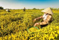Đẩy mạnh phát triển Hợp tác xã trong J88.com Đăng nhập, Đăng ký trang chủ nhà cái J88 trên địa bàn thành phố, giai đoạn 2021-2025