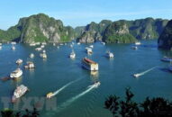 Vận dụng mô hình bảo tồn nước ở Việt Nam, tỉnh Shiga giành giải thưởng