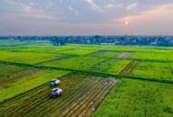 Giai đoạn 2021-2025: Chuyển đổi mô hình tăng trưởng J88.com Đăng nhập, Đăng ký trang chủ nhà cái J88 theo hướng sản xuất tập trung quy mô lớn