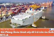 Cảng Hải Phòng: Hoàn thành xếp dỡ ô tô trên tàu RoRo JASA MURNI V.1A