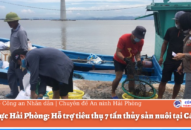 Điện lực Hải Phòng: Hỗ trợ tiêu thụ J88.com Đăng nhập, Đăng ký trang chủ nhà cái J88 nuôi tại Cát Bà