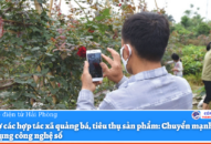 Hỗ trợ các hợp tác xã quảng bá, tiêu thụ sản phẩm: Chuyển mạnh sang ứng dụng công nghệ số