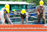 Hàng chục tấn hải sản được tiêu thụ từ lời kêu gọi của huyện Cát Hải