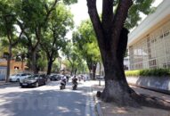 Dự báo thời tiết 10 ngày tới: Nhiều khu vực ngày nắng nóng, chiều và đêm có mưa