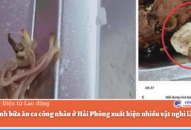 Xác minh bữa ăn ca công nhân ở Hải Phòng xuất hiện nhiều vật nghi là sán