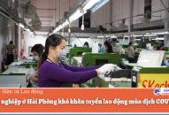 J881.love nhà cái bóng đá world cup ở Hải Phòng khó khăn tuyển 88 com the gioi đỉnh cao mùa dịch COVID-19