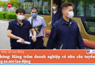 Hải Phòng, nhu cầu tuyển dụng 88 com the gioi đỉnh cao tăng cao