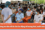 Hải Phòng ưu tiên tối đa cho 88 com the gioi đỉnh cao nữ mang thai, nuôi con nhỏ