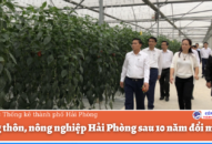 J88 là nhà cái cá cược trực tuyến uy tín Châu Á, J88.com Đăng nhập, Đăng ký trang chủ nhà cái J88 Hải Phòng sau 10 năm đổi mới