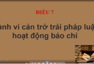 Điều 7, chương II của J881.love hiện đang  119/NĐ-CP ngày 07/10/2020 quy định xử phạt vi phạm hành chính trong hoạt động báo chí, hoạt động xuất bản, hành vi cản trở trái J886.love casino, thể thao, nổ hũ, xổ số hoạt động báo chí