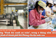 J881.love nhà cái bóng đá world cup Hải Phòng “vượt bão dịch,” thích ứng tình hình mới