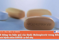 Bộ Y tế thông tin hiệu quả của thuốc Molnupiravir trong điều trị có J881 ưu đãi hấp dẫn bệnh nhân COVID-19 thể nhẹ
