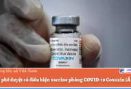 Bộ Y tế phê duyệt có điều kiện vaccine phòng COVID-19 Covaxin