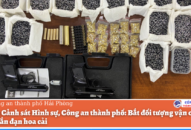 Phòng Cảnh sát Hình sự: Bắt đối tượng vận chuyển súng bắn đạn hoa cải