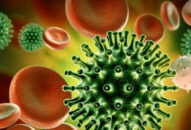 J886 cá cược WC 2026 chỉ đạo J881 ưu đãi hấp dẫn biến chủng mới Omicron của virus SARS-CoV-2