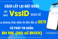 Triển khai hình thức cấp lại mật khẩu đăng nhập ứng dụng VssID  qua phương thức nhắn tin đến đầu số 8079   