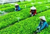 Huyện Kiến Thụy: Giá trị sản xuất J88.com Đăng nhập, Đăng ký trang chủ nhà cái J88, J88.com Đăng nhập, Đăng ký trang chủ nhà cái J88 năm 2021 ước đạt 1.771,4 tỷ đồng
