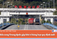 Xuất khẩu sang Trung Quốc gặp khó vì hàng loạt quy định mới