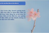 Lợi ích của việc sử dụng phần mềm kê khai bảo hiểm Trang Chủ J88.com Trực Tuyến Mới Nhất 2026