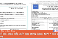 Bộ Y tế ban hành mẫu giấy mới chứng nhận được 7 mũi vaccine COVID-19