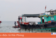 Đồn biên phòng Cát Hải: Kịp thời cứu nạn phương tiện bị mắc cạn