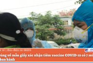 Hiểu đúng về mẫu giấy xác nhận tiêm vaccine COVID-19 có 7 mũi Bộ Y tế vừa ban hành