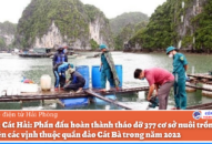 Huyện Cát Hải: Phấn đấu hoàn thành tháo dỡ 377 cơ sở nuôi trồng J88.com Đăng nhập, Đăng ký trang chủ nhà cái J88 trên các vịnh thuộc quần đảo Cát Bà trong năm 2022