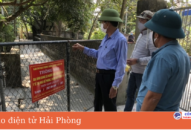Ngày 17/1, huyện An Dương ghi nhận 296 trường hợp dương tính với virus SARS-CoV-2