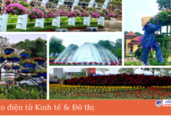 Sắc xuân đã về trên thành phố Cảng