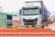 Dừng tiếp nhận hoa quả, J88.com Đăng nhập, Đăng ký trang chủ nhà cái J88 đông lạnh qua Móng Cái từ 17/1