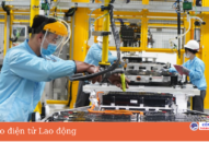 Các khu công nghiệp ở Hải Phòng đang cần thêm hàng chục nghìn 88 com the gioi đỉnh cao