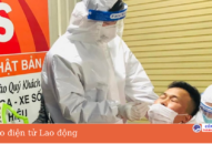 Hải Phòng tiếp tục huy động gần 1.000 sinh viên hỗ trợ F0 điều trị tại nhà