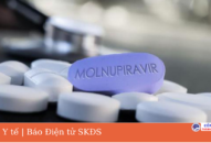 Chính thức cấp phép 3 loại thuốc chứa Molnupiravir sản xuất trong nước
