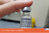 Bộ Y tế: Tiêm vaccine Pfizer cho trẻ từ 5-11 tuổi liều 0,2ml