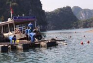 Kinh tế xanh, bắt đầu từ ý thức