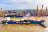 Lượng hàng hóa thông qua Cảng Hải Phòng trong tháng 4 giảm nhẹ so với tháng 3/2022
