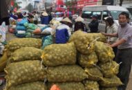 Hiệu quả từ phong trào nông dân thi đua sản xuất, kinh doanh giỏi huyện Tiên Lãng