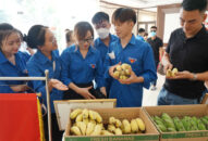 Hành trình Thanh niên Hải Phòng với OCOP năm 2022: Tạo tiền đề để thanh niên J88 là nhà cái cá cược trực tuyến uy tín Châu Á lập thân lập nghiệp trên mảnh đất quê hương