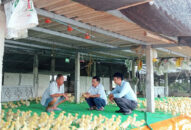 Làm giàu từ mô hình J881 tải ứng  kết hợp J88.com Đăng nhập, Đăng ký trang chủ nhà cái J88-thủy cầm