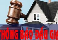 Đấu giá lô hàng gồm 713,4 tấn J882ea VIP Trang Chủ 2026 (đất hiếm)