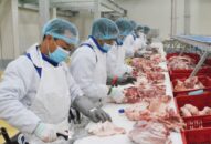 Từ 30/10, 12 loại Giấy chứng nhận có giá trị tương đương Giấy chứng nhận điều kiện vệ sinh Link Trang Chủ J88.COM Uy Tín Mới Nhất 2026