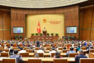 Đấu giá biển số xe ô tô: Áp dụng 1 mức giá khởi điểm; thí điểm trên toàn quốc